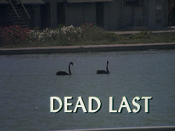 Episode title card