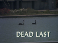 Thumbnail for version as of 12:58, 7 August 2025