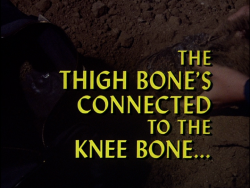 File:Thigh-bone.webp